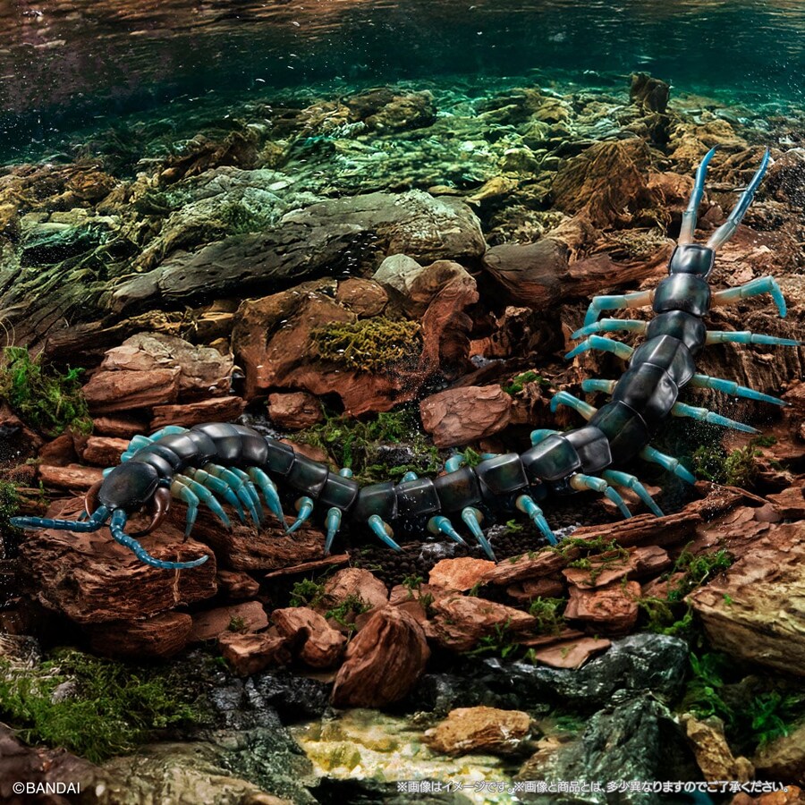 [반다이가샤폰] 생물대도감 얼티밋 3탄 류진 왕지네_5.jpg