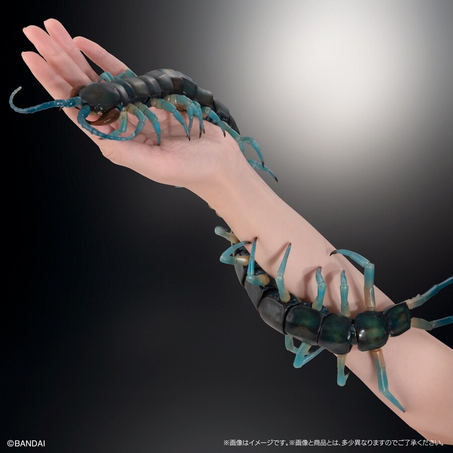 [반다이가샤폰] 생물대도감 얼티밋 3탄 류진 왕지네_6.jpg