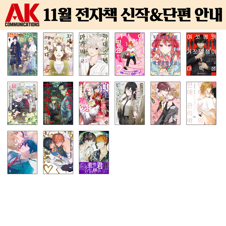 [AK] 에이케이커뮤니케이션즈 11월 전자책 발행 예정작 안내_2.jpg