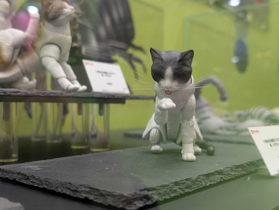 [반다이가샤폰] 생물대도감 프리미엄 고양이 공개_1.jpg