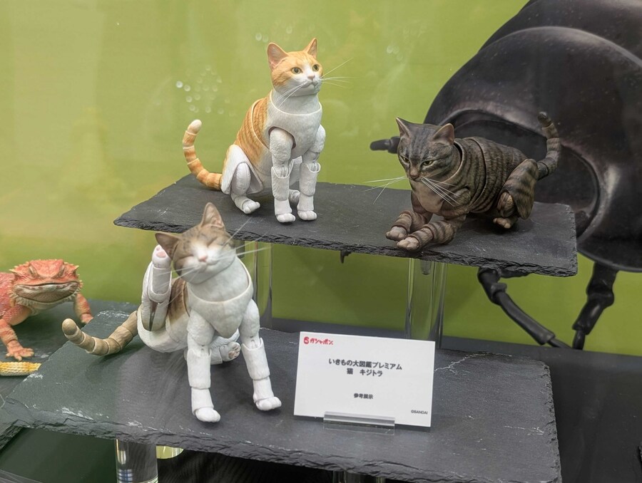 [반다이가샤폰] 생물대도감 프리미엄 고양이 공개_2.jpg