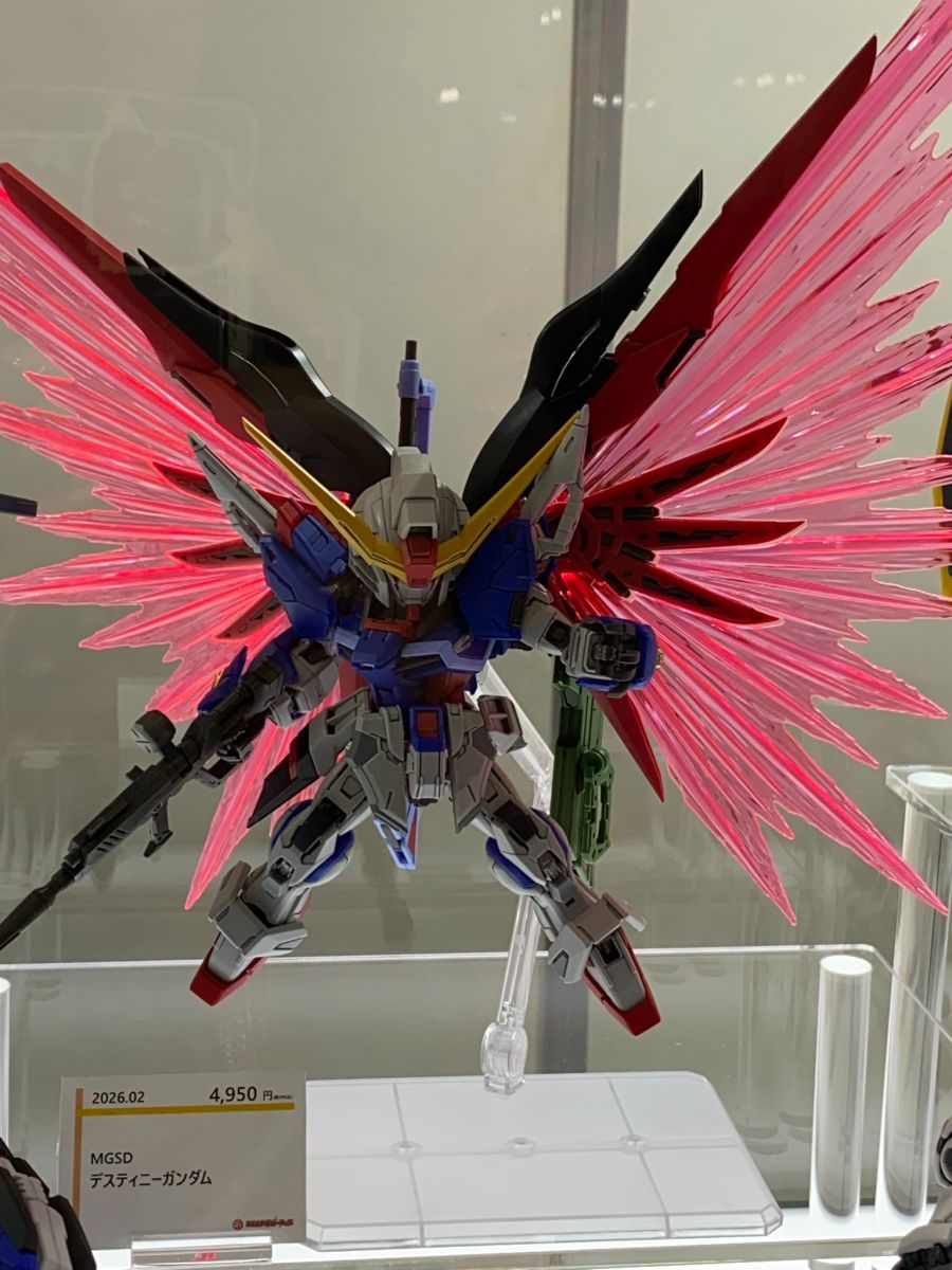 MGSD 데스티니 건담 프레임 전시 사진_1.jpeg