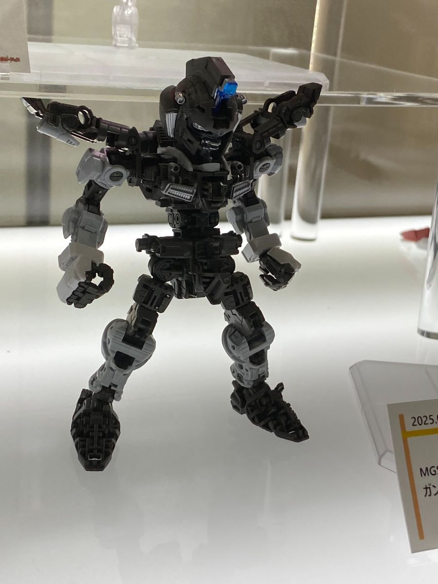 MGSD 데스티니 건담 프레임 전시 사진_2.jpeg