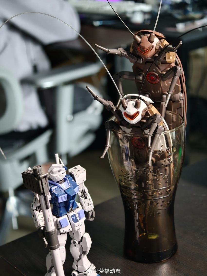 [로복스]-광둥성 바퀴벌레 곧 출시예정 (혐)_6.jpg