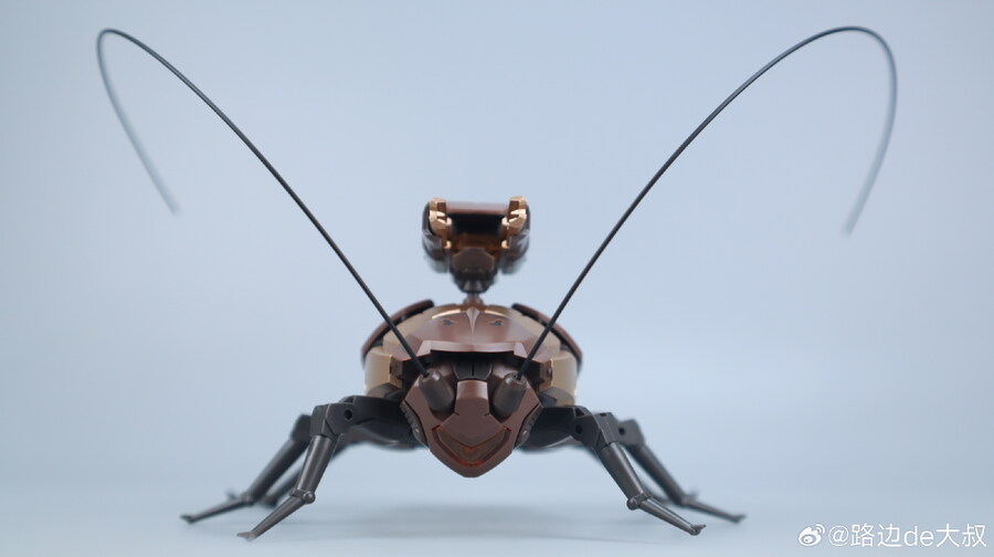 [Robox] 초대형 바퀴벌레 : 광둥식 중형 다기능 차량 리뷰 영상_2.jpg