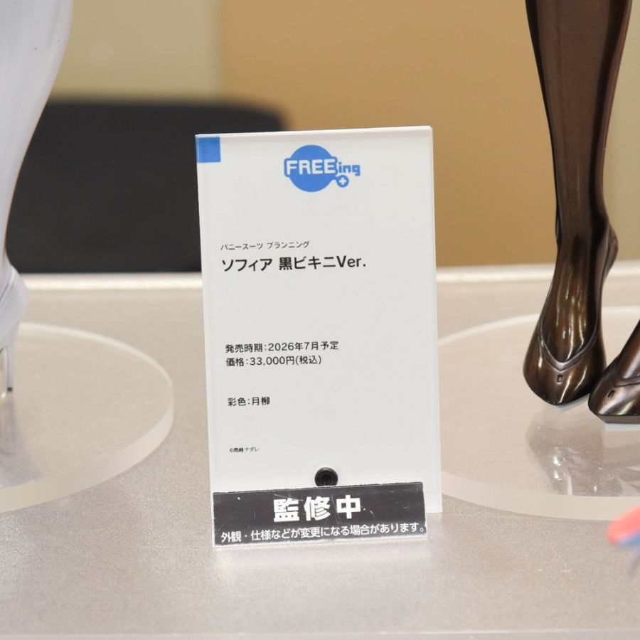 [FREEing] 1/4 바니 슈트 플래닝 - 소피아 비키니 계열 전시 사진_4.jpg