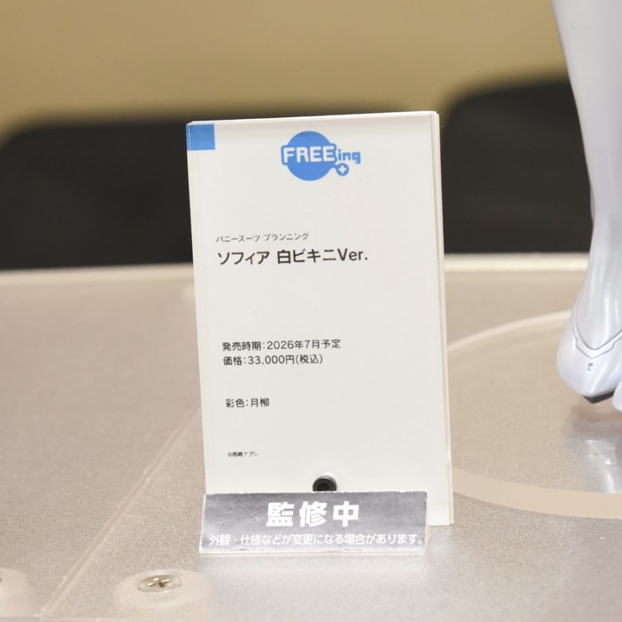 [FREEing] 1/4 바니 슈트 플래닝 - 소피아 비키니 계열 전시 사진_8.jpg