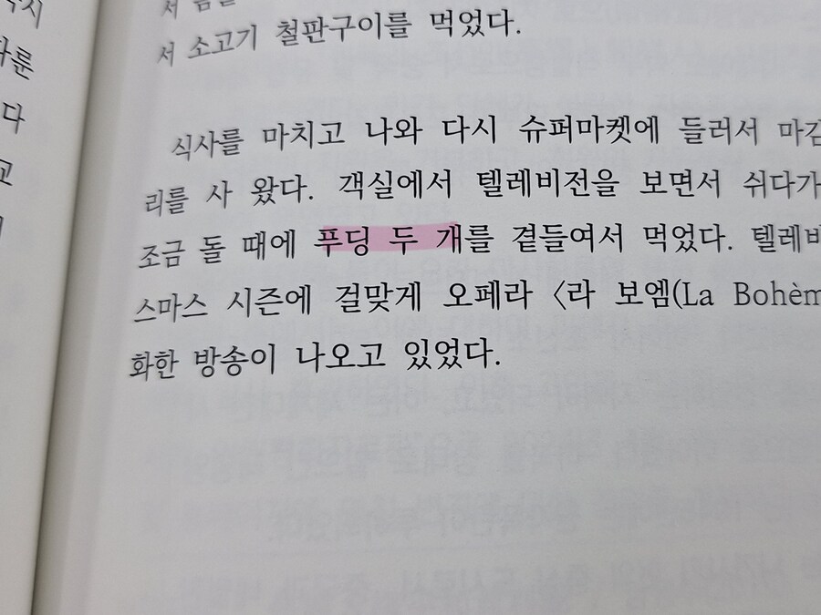 어느 푸딩 괴인의 책_5.jpg