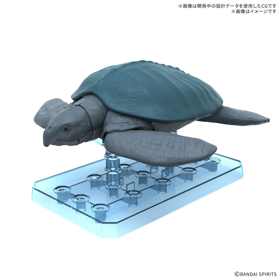 [반다이] 프라노사우르스 애니화! 신작 프라 공개!_19.webp