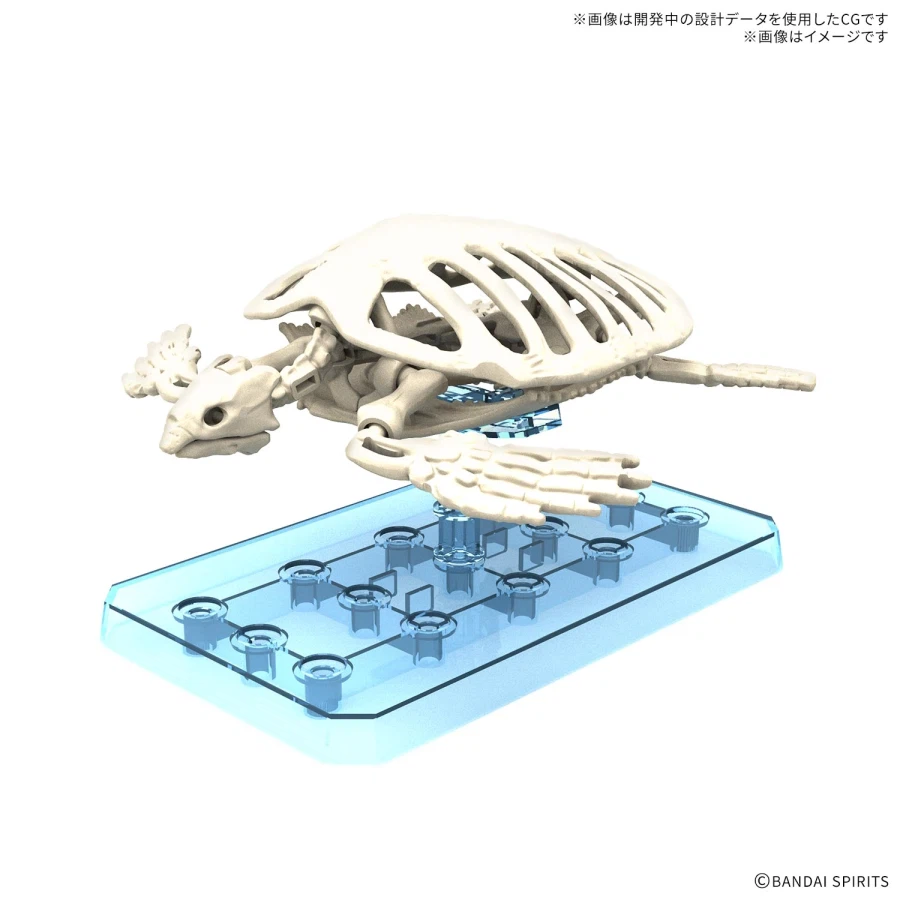 [반다이] 프라노사우르스 애니화! 신작 프라 공개!_20.webp