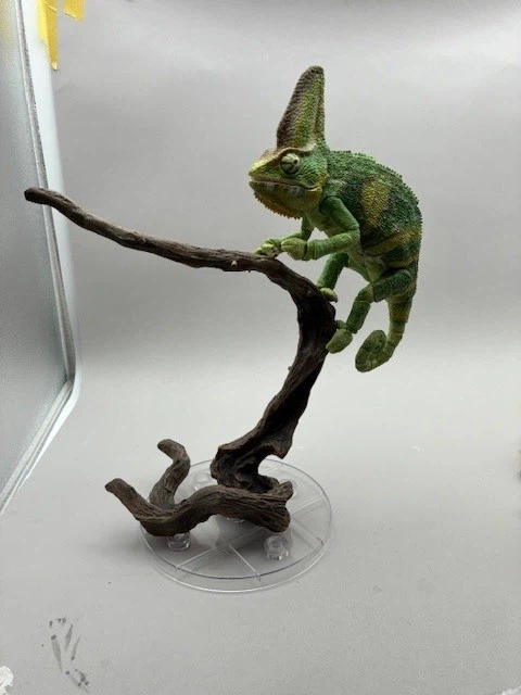 [반다이가샤폰] 생물대도감 프리미엄 베일드 카멜레온 샘플 소개_3.webp