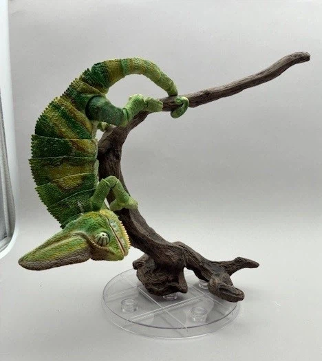 [반다이가샤폰] 생물대도감 프리미엄 베일드 카멜레온 샘플 소개_4.webp