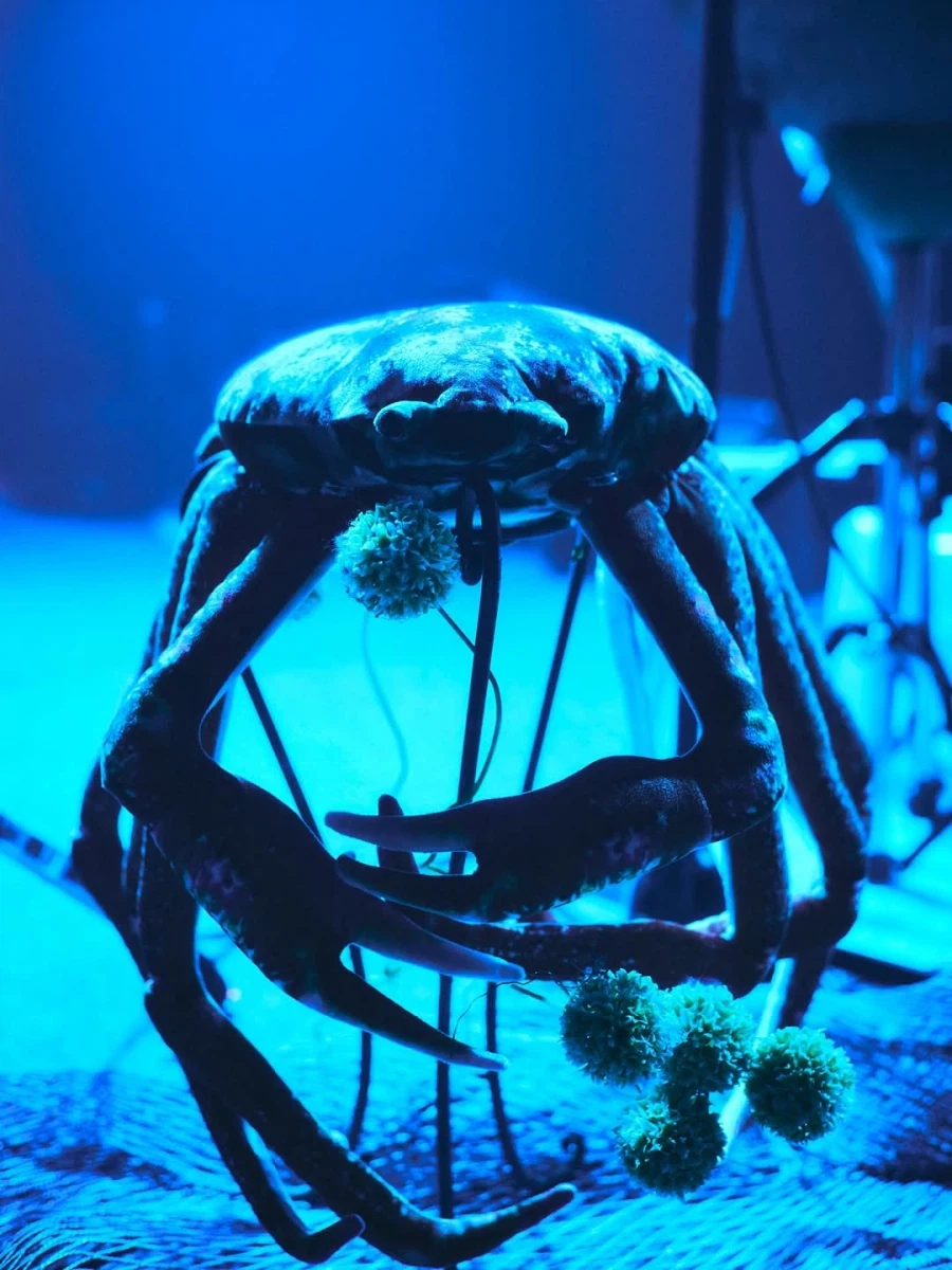 즛토마요 내한 공연 공식 사진_7.webp