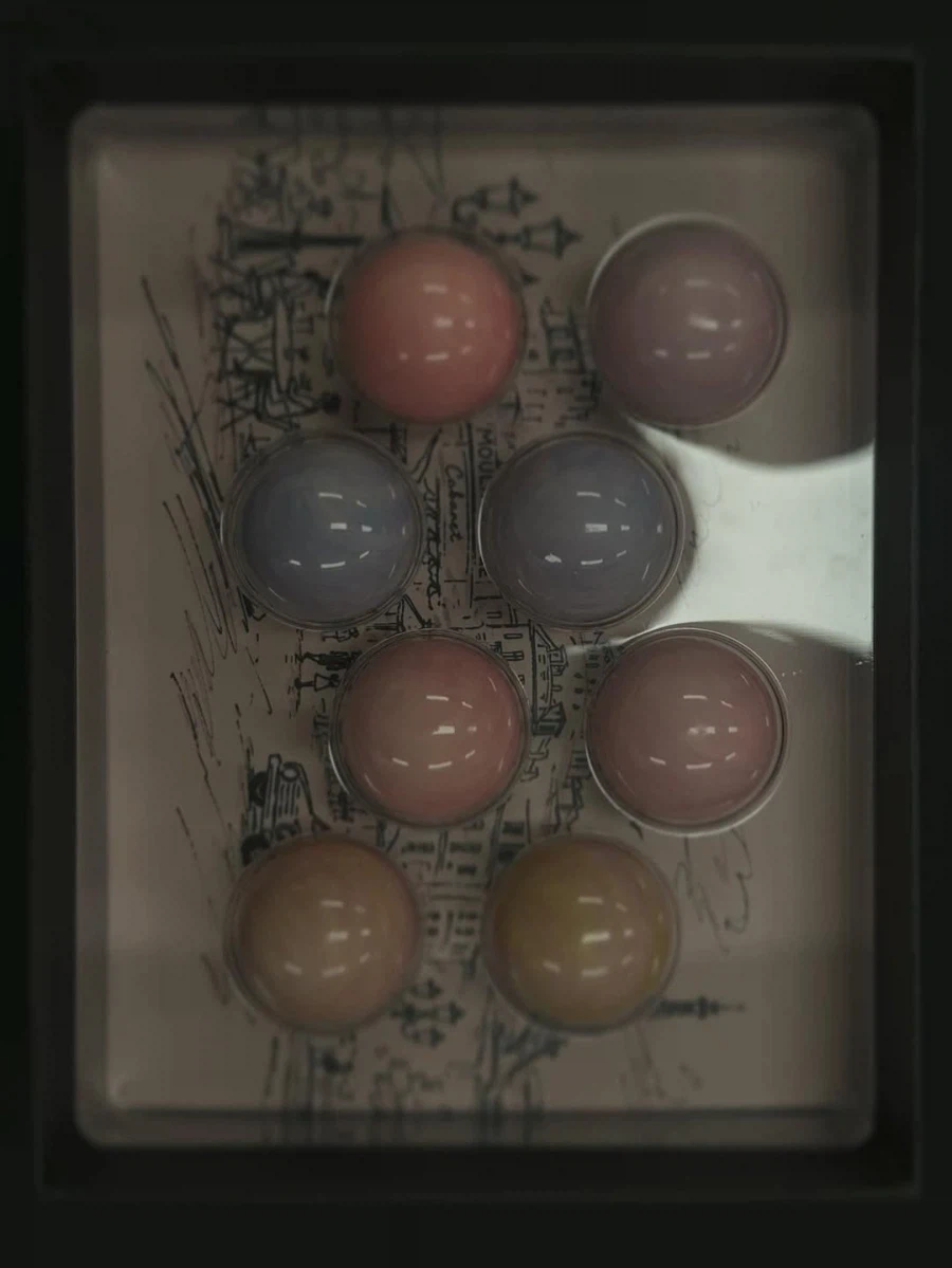 즛토마요 내한 공연 공식 사진_16.webp