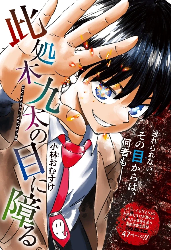 주간 소년 점프 2026년 16호 표지, 컬러 페이지 & 게재 순위_4.webp