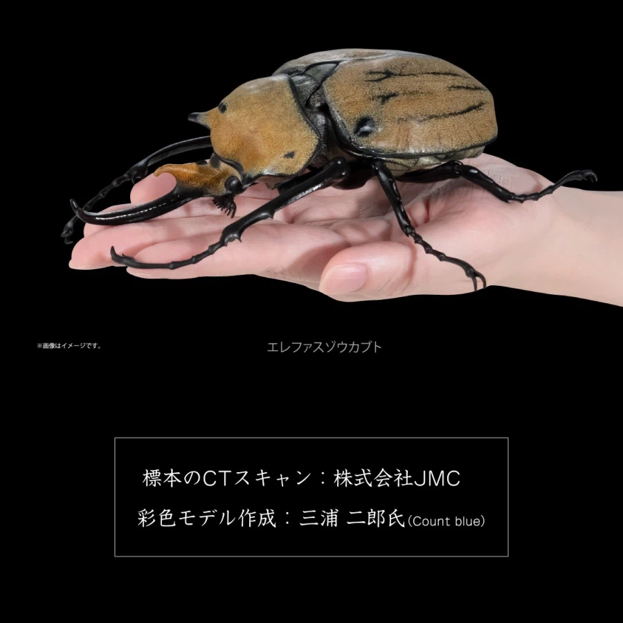 [반다이가샤폰] 생물대도감 어드밴스 카부토무시(장수풍뎅이) 04_18.webp