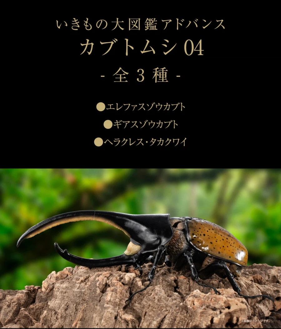 [반다이가샤폰] 생물대도감 어드밴스 카부토무시(장수풍뎅이) 04_2.webp