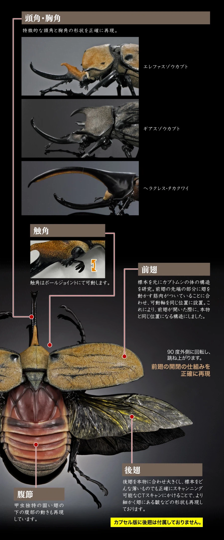 [반다이가샤폰] 생물대도감 어드밴스 카부토무시(장수풍뎅이) 04_10.webp