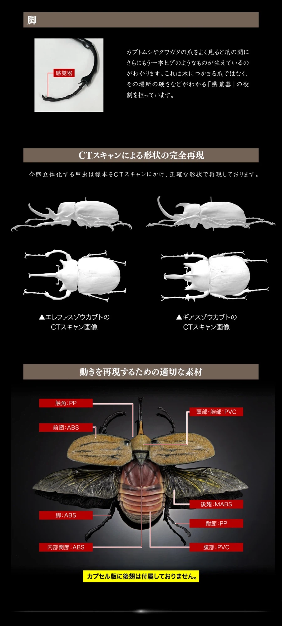 [반다이가샤폰] 생물대도감 어드밴스 카부토무시(장수풍뎅이) 04_11.webp