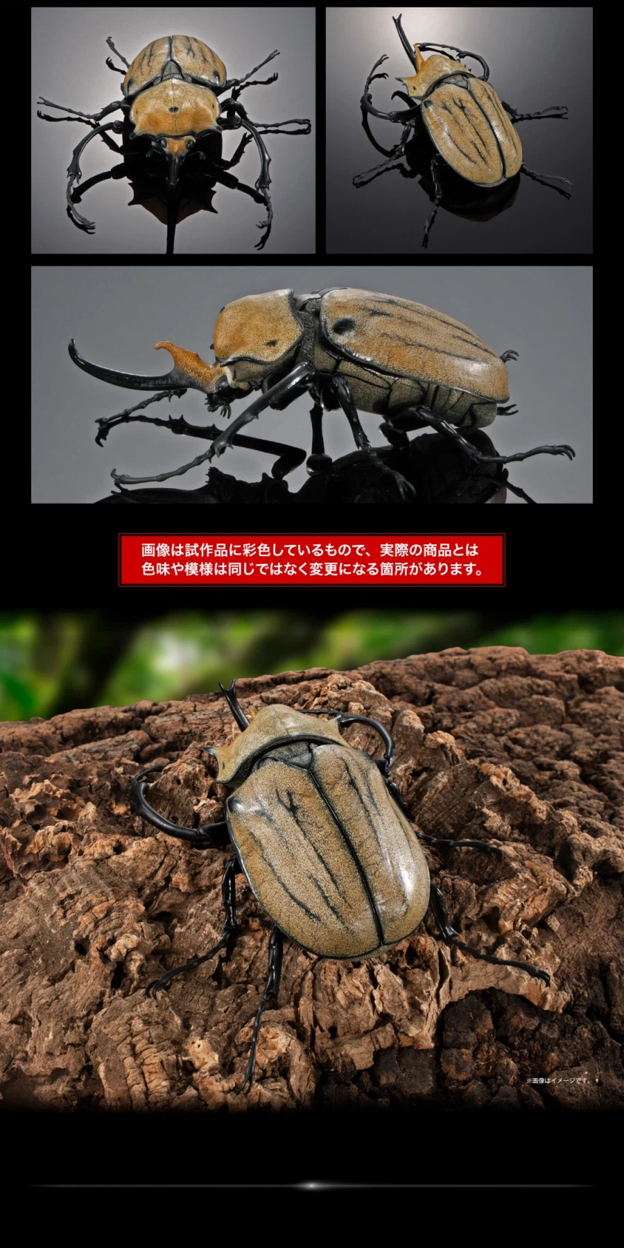 [반다이가샤폰] 생물대도감 어드밴스 카부토무시(장수풍뎅이) 04_13.webp