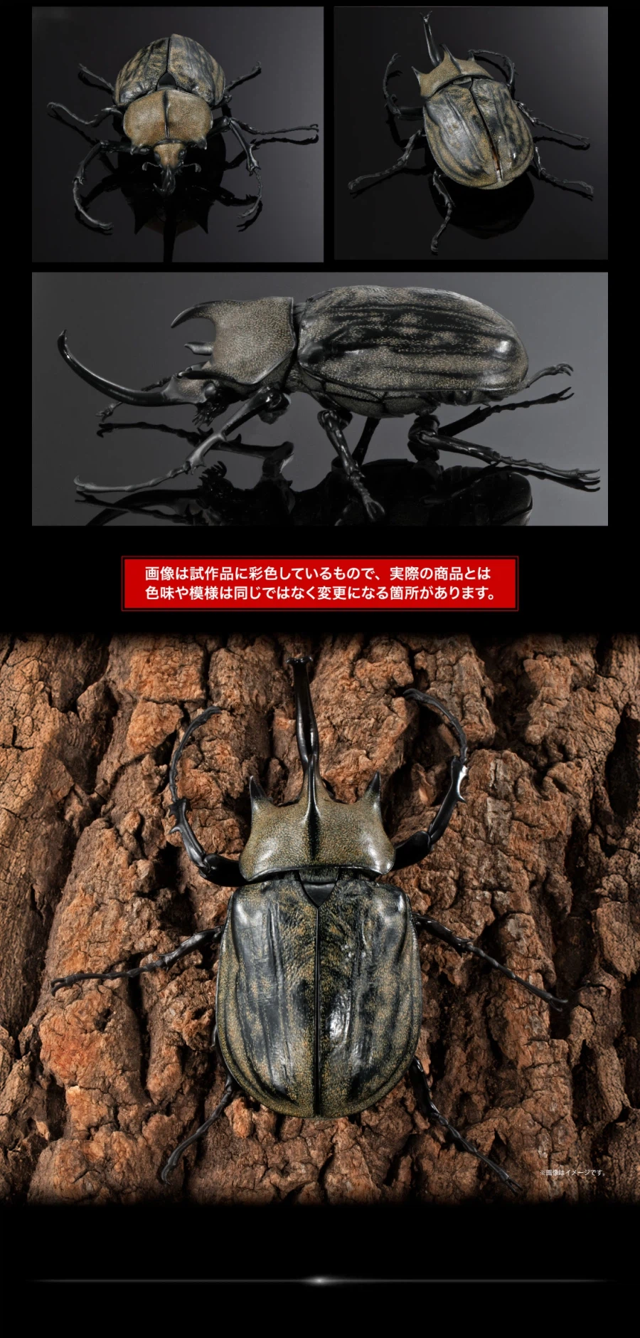 [반다이가샤폰] 생물대도감 어드밴스 카부토무시(장수풍뎅이) 04_15.webp