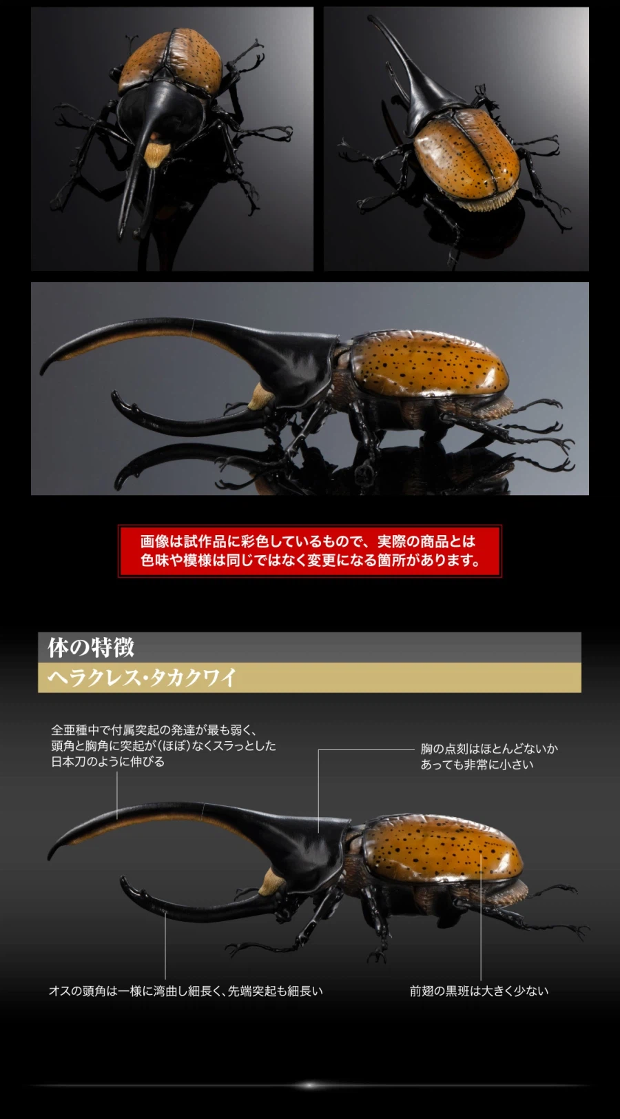 [반다이가샤폰] 생물대도감 어드밴스 카부토무시(장수풍뎅이) 04_17.webp