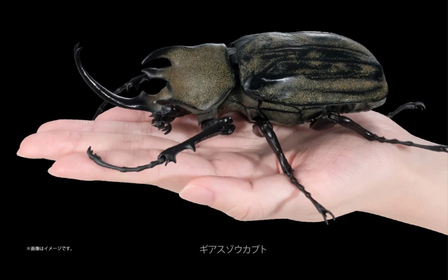 [반다이가샤폰] 생물대도감 어드밴스 카부토무시(장수풍뎅이) 04_19.webp