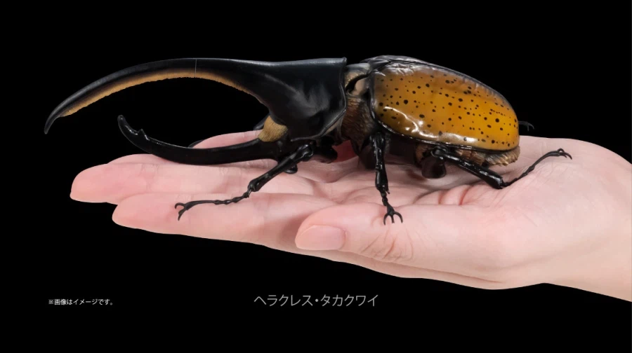 [반다이가샤폰] 생물대도감 어드밴스 카부토무시(장수풍뎅이) 04_20.webp