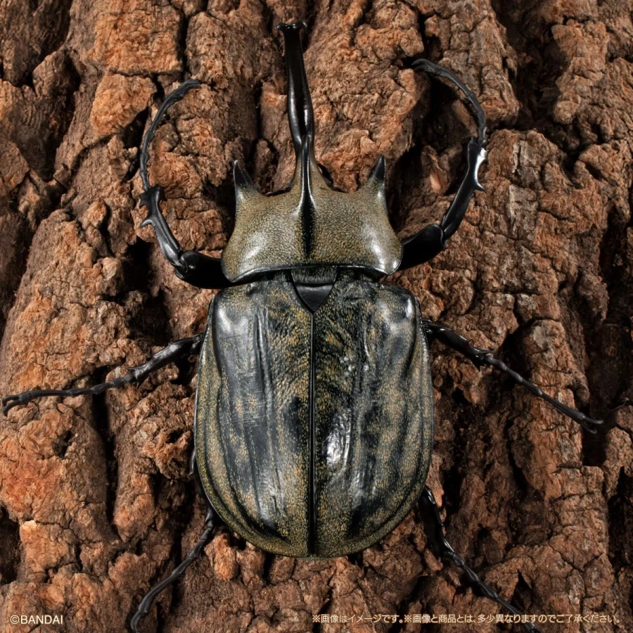 [반다이가샤폰] 생물대도감 어드밴스 카부토무시(장수풍뎅이) 04_22.webp