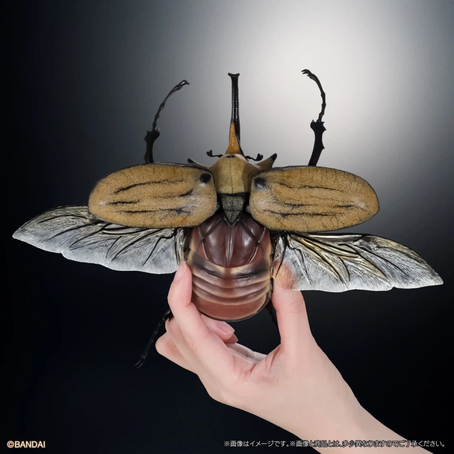 [반다이가샤폰] 생물대도감 어드밴스 카부토무시(장수풍뎅이) 04_25.webp
