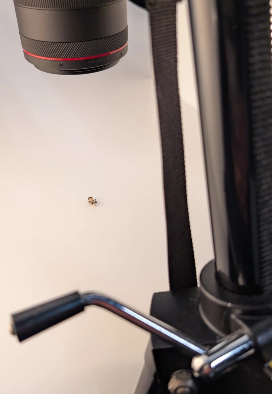 [코토부키야] 우리의 D-스타일 조이드가 돌아왔다!!_4.webp