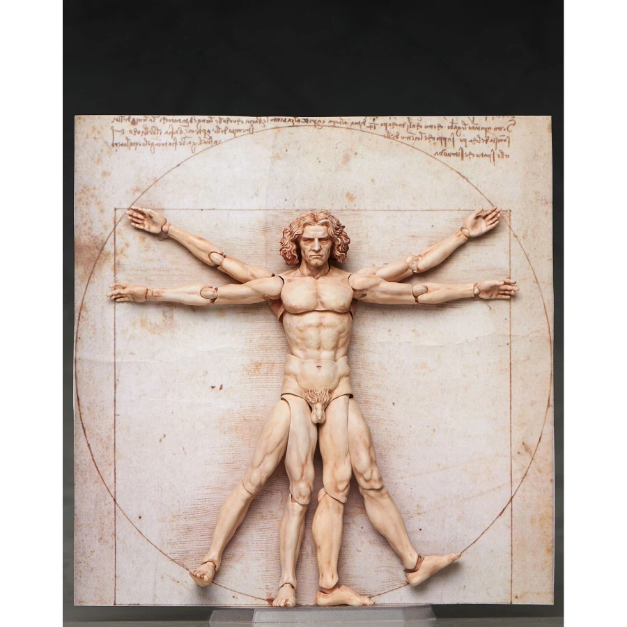 [FREEing] 테이블 미술관 figma 비트루비우스적 인체도 재판_3.webp