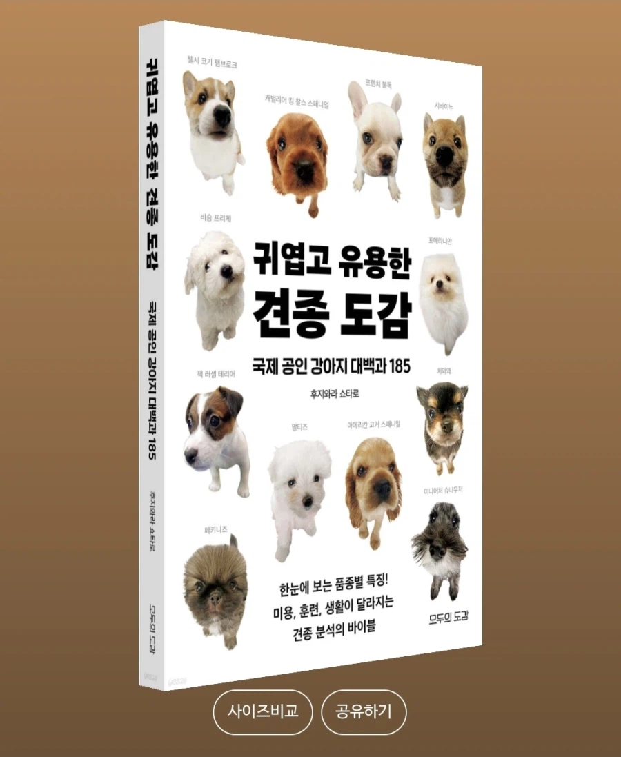 [귀엽고 유용한 견종 도감]: 국제 공인 강아지 대백과 185_1.webp