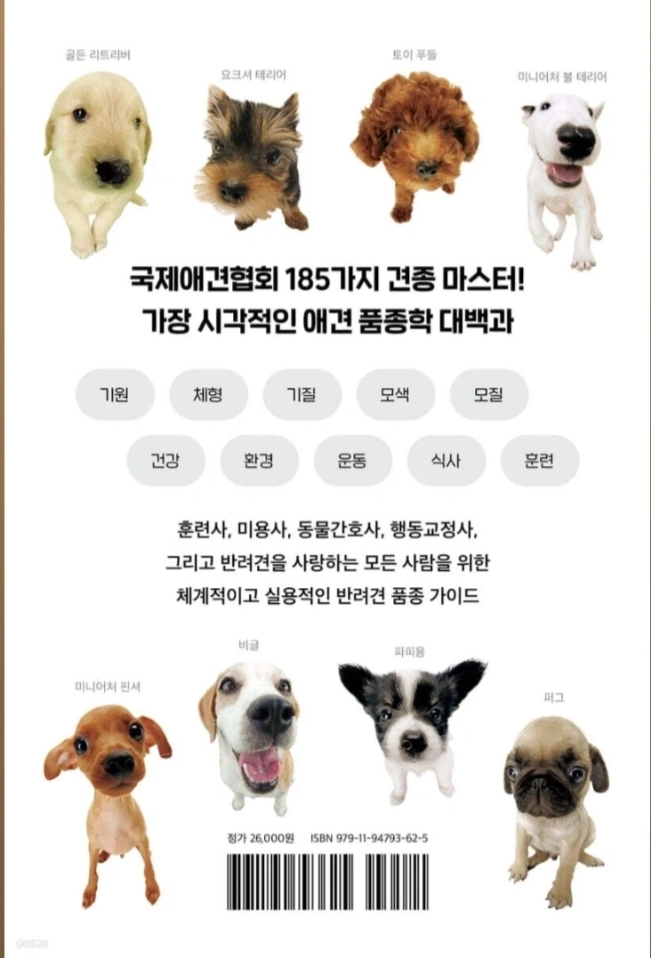 [귀엽고 유용한 견종 도감]: 국제 공인 강아지 대백과 185_2.webp