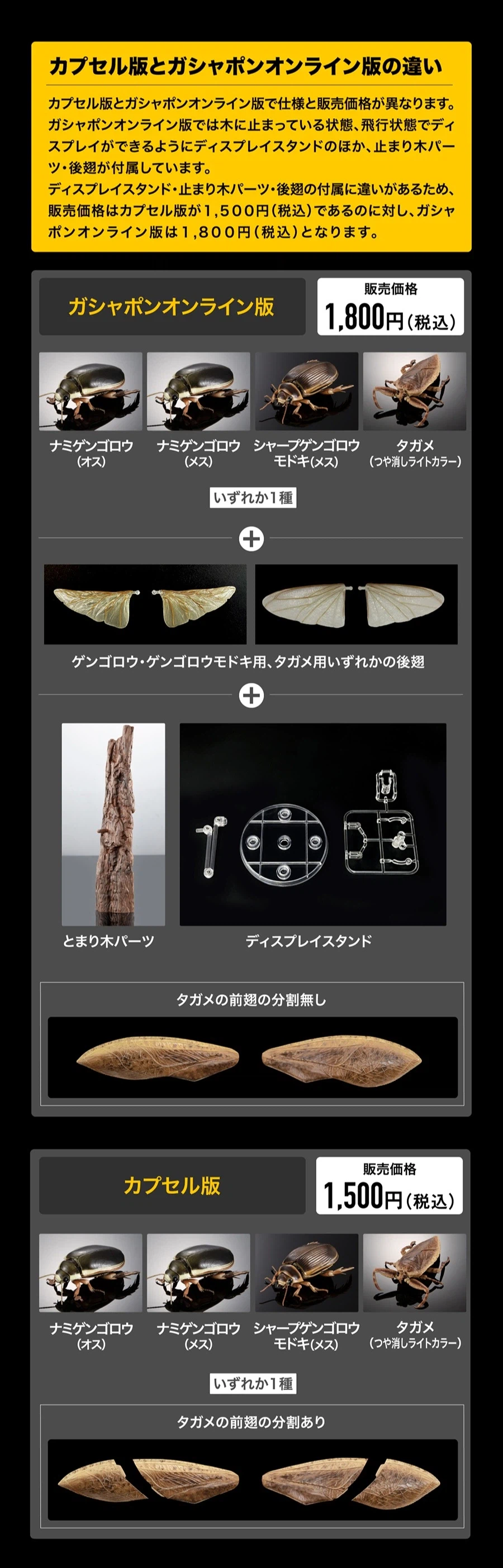 [반다이가샤폰] 생물대도감 어드밴스 수생곤충 물방개_2.webp