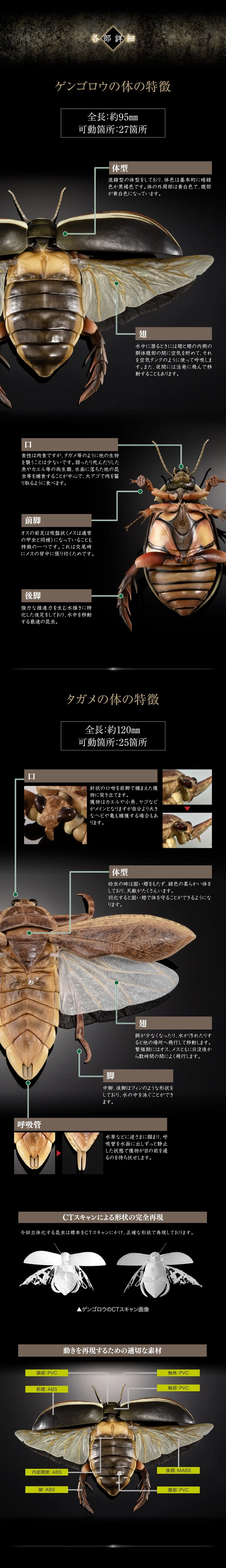[반다이가샤폰] 생물대도감 어드밴스 수생곤충 물방개_11.webp