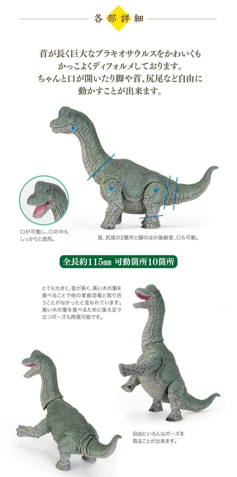 [반다이가샤폰] 생물대도감 레쁘띠 공룡5_2.webp