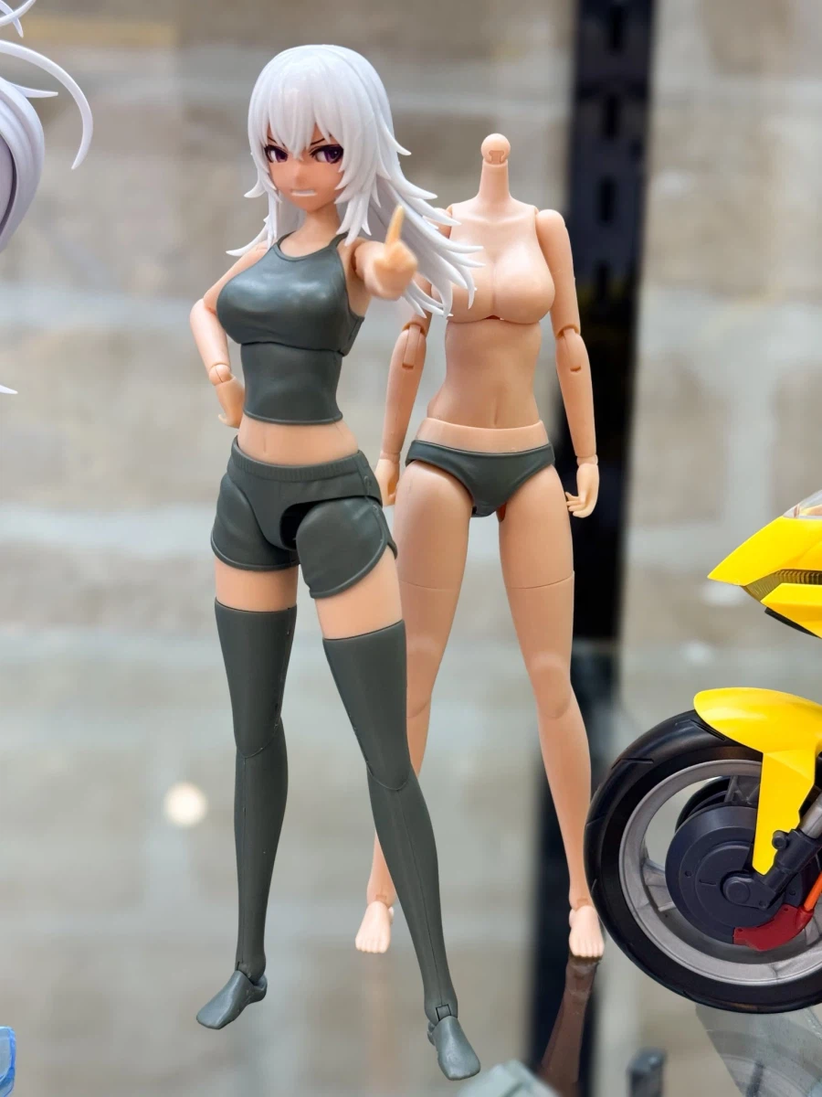 [코토부키야] 메갈로마리아, 창채소녀정원 스킨 컬러D 신작 전시 이미지_3.webp