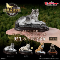 [반다이 가샤폰] 생물대도감 디스플레이 모델 컬렉션 야생 개과 동물