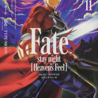 Fate/stay night [Heaven＇s Feel] 11권 표지