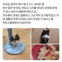 강아지가 안 짖어도 너무 안 짖음;;