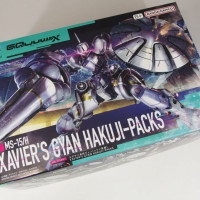 HG GQ 1/144 이그자베 전용 걍 런너 사진