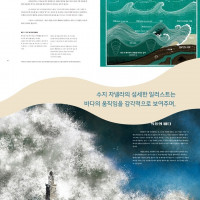 파도 도감