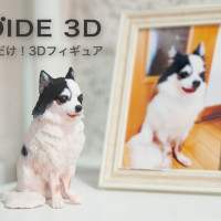 [OMOIDE 3D] 여러분의 반려동물을 피규어로 만들어 드립니다!