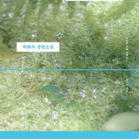 박완서x이옥토 리커버 특별판 (8.13)