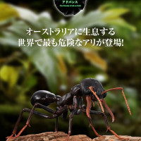 [반다이가샤폰] 생물대도감 어드밴스 불독 개미