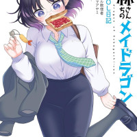 고바야시네 메이드래곤 엘마의 OL일기 11권 표지