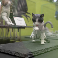 [반다이가샤폰] 생물대도감 프리미엄 고양이 공개