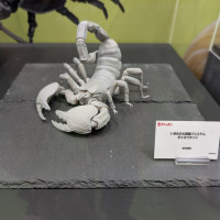 [반다이가샤폰] 생물대도감 프리미엄 황제 전갈 전시 이미지