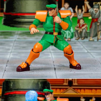 [아카데미과학] 1/12 스파2 - 바이슨, 달심 2P 칼라 디럭스ver